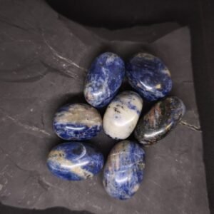 Sodalitas